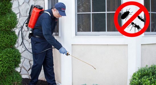 Termal Böcek İlaçlama böcek ilaçlama ve haşere kontrolü — ilaclama-tr.com